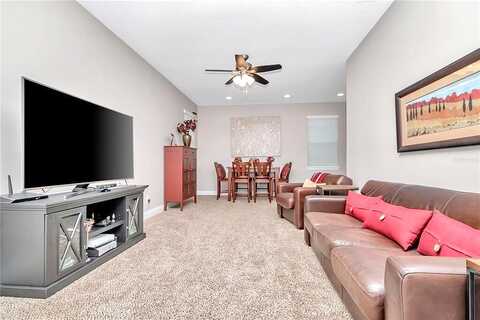 Gray, TAMPA, FL 33609