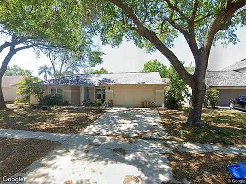 Arborwood, VALRICO, FL 33596
