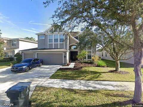 Yellow Clover, TAMPA, FL 33647