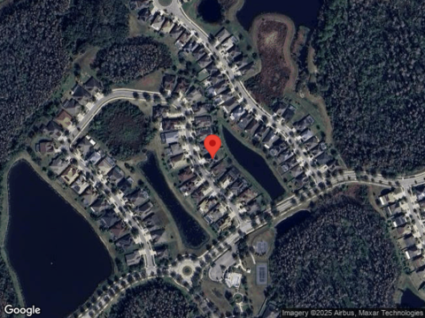 Yellow Clover, TAMPA, FL 33647