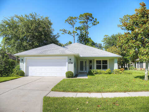 Turnbull Lakes, NEW SMYRNA BEACH, FL 32168