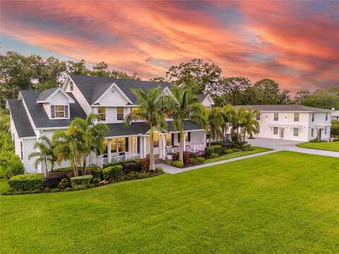Brown, ODESSA, FL 33556
