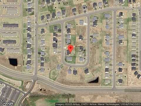 Alder, ROSEMOUNT, MN 55068