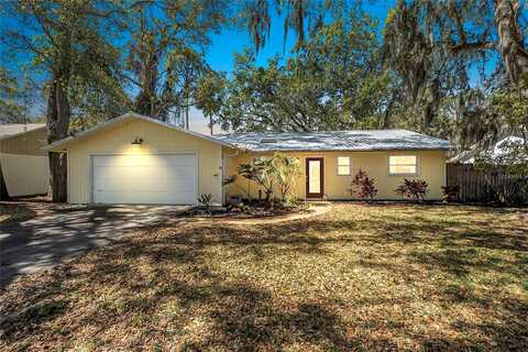 Mollie, DAYTONA BEACH, FL 32114