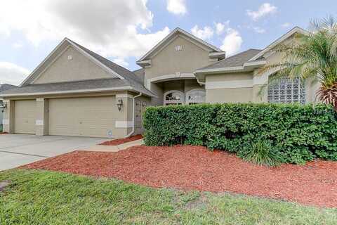 Big Creek, WESLEY CHAPEL, FL 33544