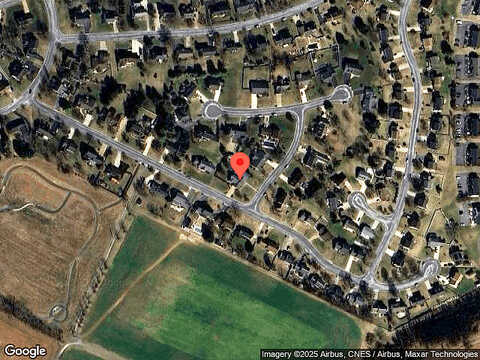 Amber, BRIDGEWATER, VA 22812