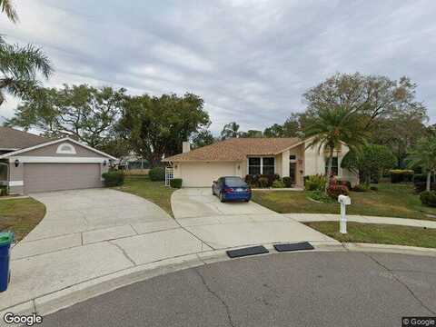 Hollowtree, TARPON SPRINGS, FL 34688