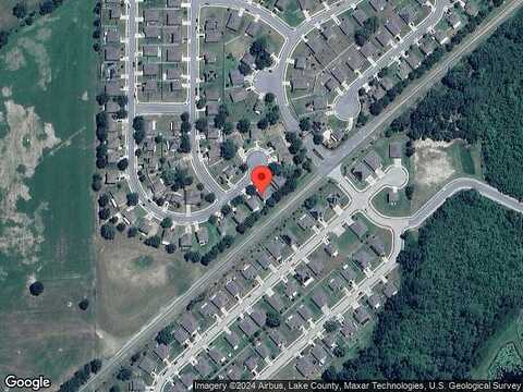 Willet, MASCOTTE, FL 34753