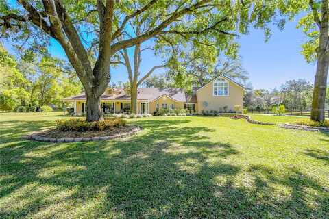 Louise, UMATILLA, FL 32784