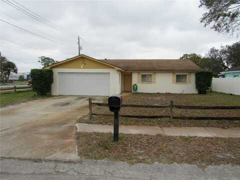 Fern, WINTER HAVEN, FL 33880