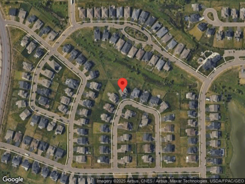 Goldfinch, LAKEVILLE, MN 55044