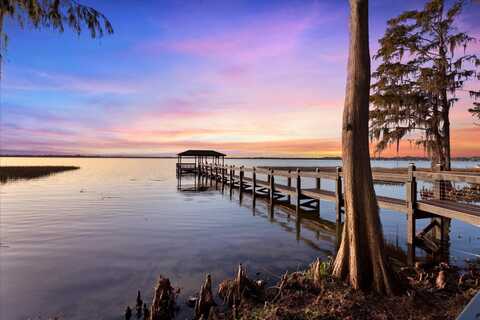 Acorn, TAVARES, FL 32778