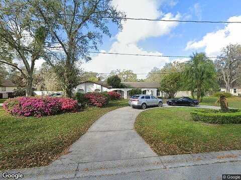 Leprechaun, RIVERVIEW, FL 33569
