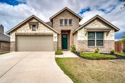 Sonterra, WAXAHACHIE, TX 75167