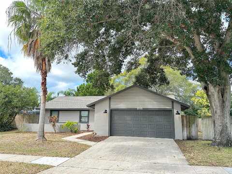 Noell, PALM HARBOR, FL 34683