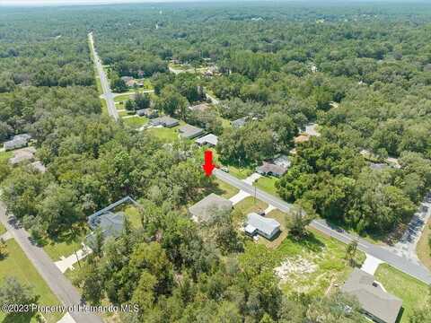 Santos, CITRUS SPRINGS, FL 34434
