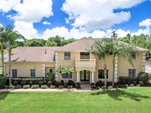 George, TARPON SPRINGS, FL 34688