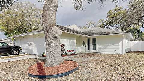 Pine Meadow, TAMPA, FL 33624