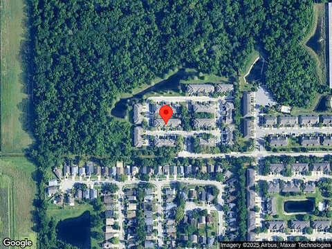 Golden Dewdrop, OVIEDO, FL 32765