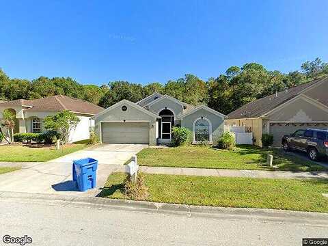 Birds Eye, WESLEY CHAPEL, FL 33543