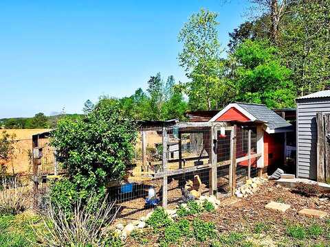 Magnolia, RYDAL, GA 30171