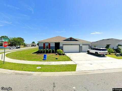 Crossandra, MASCOTTE, FL 34753