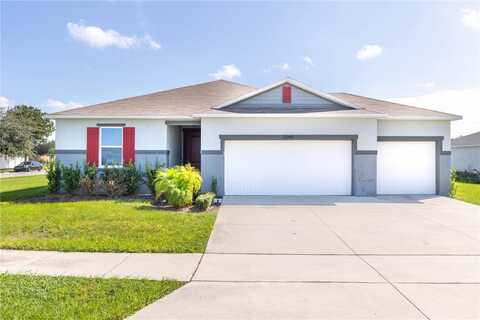 Crossandra, MASCOTTE, FL 34753