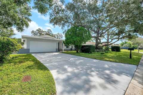 Little Neck, CLEARWATER, FL 33755