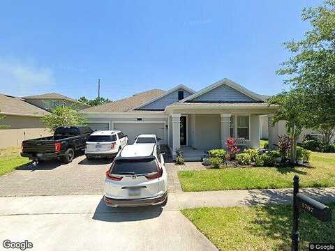 Snapper, SAINT CLOUD, FL 34771