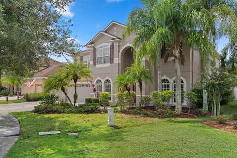 Brecon Palms, TAMPA, FL 33647