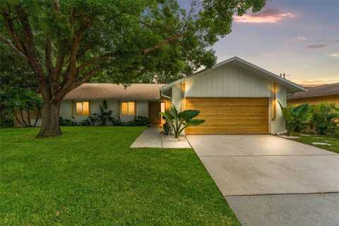 Caird, PALM HARBOR, FL 34683