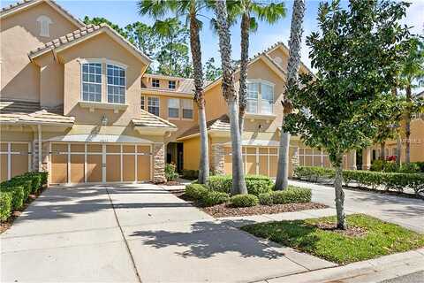 Mirabelle Vista, TAMPA, FL 33626