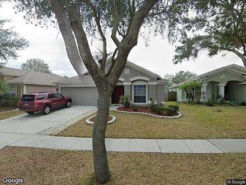 Early Run, RIVERVIEW, FL 33578