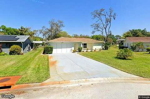 Calico, PORT RICHEY, FL 34668