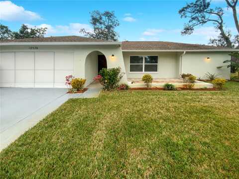 Calico, PORT RICHEY, FL 34668