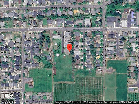 Goose, HOOD RIVER, OR 97031