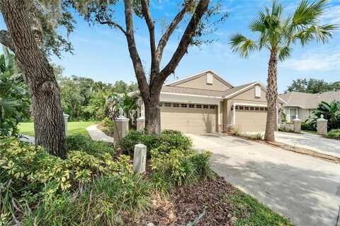 Phoebenest, LITHIA, FL 33547
