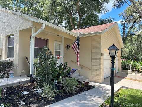 Timothy, BEVERLY HILLS, FL 34465