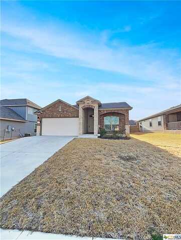 Pintail, COPPERAS COVE, TX 76522