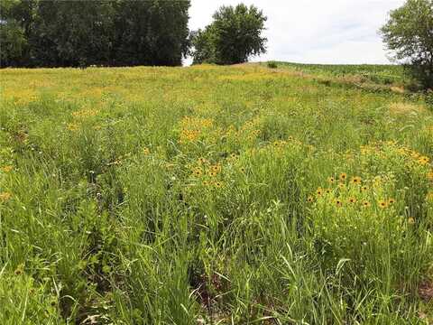 150Th, NEW RICHLAND, MN 56072