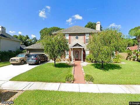 Cinnimon, TAMPA, FL 33624