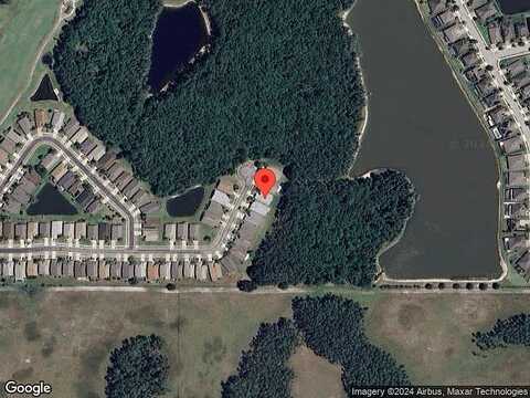 Yellow Finch, TRINITY, FL 34655
