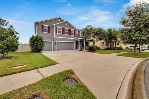 Tetrafin, RIVERVIEW, FL 33579