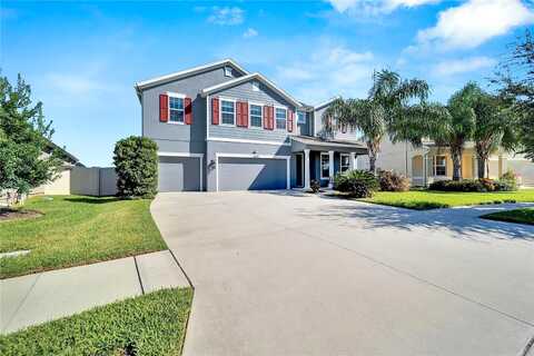 Tetrafin, RIVERVIEW, FL 33579