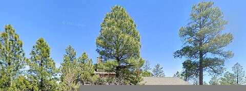 Rim, LAKESIDE, AZ 85929