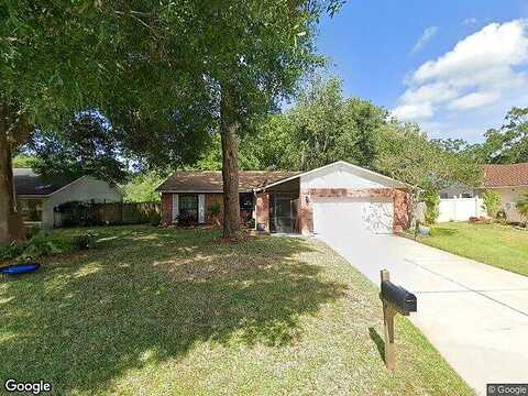 Country Oaks, TAMPA, FL 33618