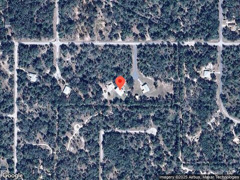 Pink Moss, CRYSTAL RIVER, FL 34428