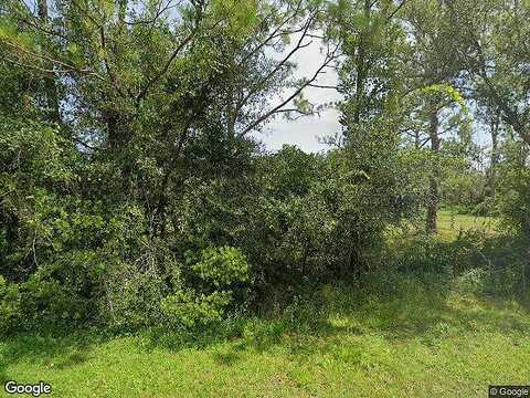 Rabbit, ARCADIA, FL 34266