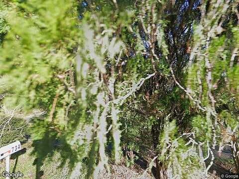 Holly, BRANDON, FL 33511