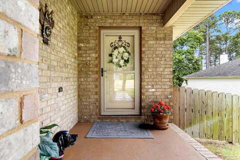 Parakeet, PENSACOLA, FL 32503